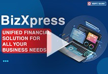 BizXpress introduction